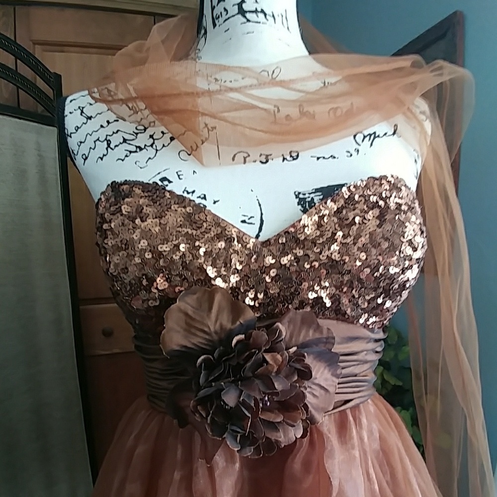 Formal Dress - Picture 3 of 4